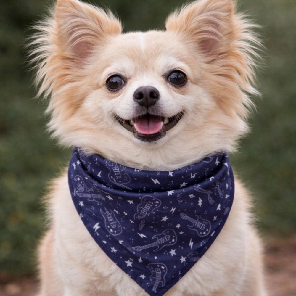 🎸Barkstage Pass Dog Bandana🐾
